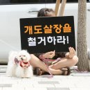 춘천흑염소도축장 | 춘천시 캣맘 연합, 동물보호단체 행강이 춘천시청에 간 까닭은?