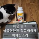 자두나무농장 | [식물영양제 이연테크 휘파람소리] 삼례 주말농장 유황규산 친환경 비료 쪽파 양파에 사용한 후기