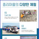 선유도어촌체험휴양마을 이미지