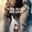 이티콩 이미지