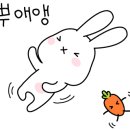 씨엔(CIEN)