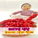 해솔농장 네이버블로그