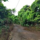 신풍보건진료소 이미지