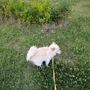 (주)닥터엔누리 이미지