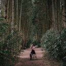 별방진하우스 이미지