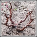 영구네농장 이미지