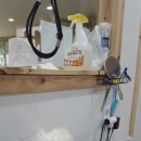 루비 애견샵 이미지