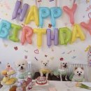 도요케이크 이미지