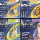 금촌프라자약국 이미지