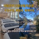 산림놀이 | 진안 두런두런 패밀리 워케이션 1일차 국립진안고원산림치유원 입실, 치유장비체험, 숲놀이