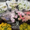 동구꽃백화점 이미지