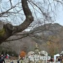 마이산힐링펜션 | 전라북도 1박2일 여행 후기 │ 마이산 탑사(진안) + 무주 태권도원·향로산(무주)