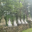킹콩부대찌개제주아라점 이미지