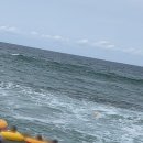 돼지노래연습장 이미지