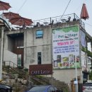 펫빌리지 이미지