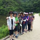 은숙농장 이미지