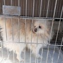 강상면 백병길 이미지