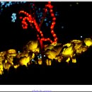 서울시청 서소문별관 이미지