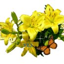 동양 안마지압원 이미지