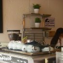 올라이드 이미지