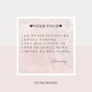 김포 속눈썹 운양동 속눈썹펌 추천 :: 셀리나왁싱