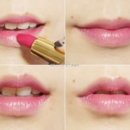 스칼렛로즈 이미지