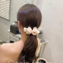 W35. 스튜디오 헤어변형 지니포유 계약 후기