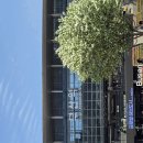 채선당 부산역점 앞 이미지