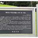 박강 묘역 및 석물 이미지