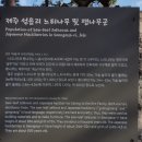 성읍리 느티나무 및 팽나무군 이미지