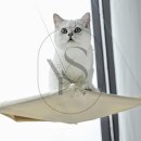 영스토어 이미지