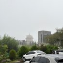 브라운도트 | 경주 보문단지 숙소 추천 | 브라운도트 경주보문점 뚜벅이 후기