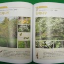 식물도감 이미지