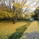 열매한의원 이미지