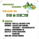 절물자연휴양림 유아숲체험원 이미지