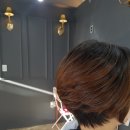 라벨르 헤어샵