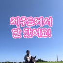 한아름목장 네이버블로그