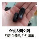 사파이어 | 스윗 사파이어 후기 : 다른 이름은 가지포도