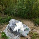 도마1리 이미지