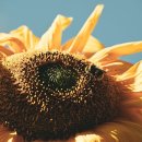 (주)마나포션 | 마비노기 모바일 직업 추천 암흑술사 육성팁 &amp; 아카라이브 후기