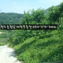 청도산 매물 각남면 일부복숭아밭 2236평 [청도임야05]청도대경부동산 이미지