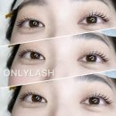 삼척속눈썹온리래쉬 네이버블로그