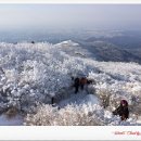 출발확정[울산안내산악회] 2월11일(일) 광주 무등산 눈꽃산행 블랙야크 100대명산 이미지