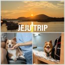 태성여객 | 부리의 첫 제주도 : 군산태성반점 이성당 • 제주 비지곶뼈다귀해장국 레이오버