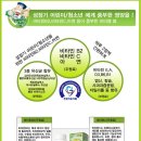 비더붐