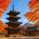 용화사 앞 | 충북 청주 용화사와 속리산 법주사, 고요한 산사의 아름다움