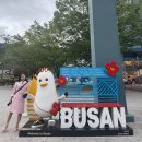 부산 결혼식장 및 1일 4카페 간 후기