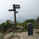 송월타올 맞은편 이미지