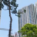 씨티 공인중개사사무소 이미지