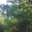 서울숲속 이야기 이미지